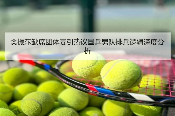 樊振东缺席团体赛引热议国乒男队排兵逻辑深度分析