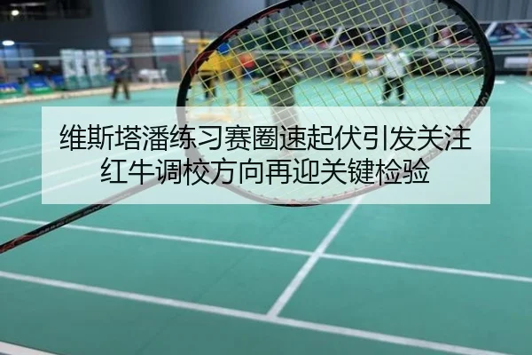 维斯塔潘练习赛圈速起伏引发关注 红牛调校方向再迎关键检验